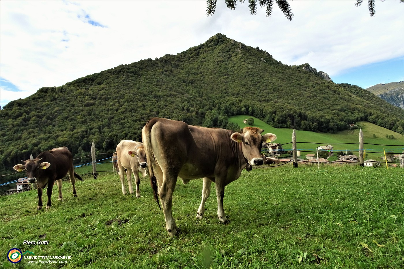 09 Il Monte Castello visto dal roccolo di Valpiana.JPG